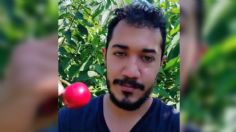 Joven asegura que gana 3 mil pesos al día en Canadá por recolectar cerezas; se viraliza en TikTok | VIDEO