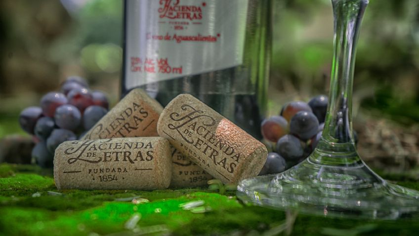 Hacienda de Letras presente en La Ruta del Vino