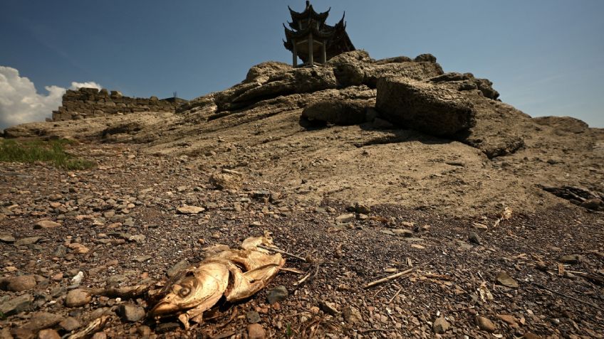 ¿El inicio del fin?, China sufre una grave sequía y una ola de calor, la peor en 60 años