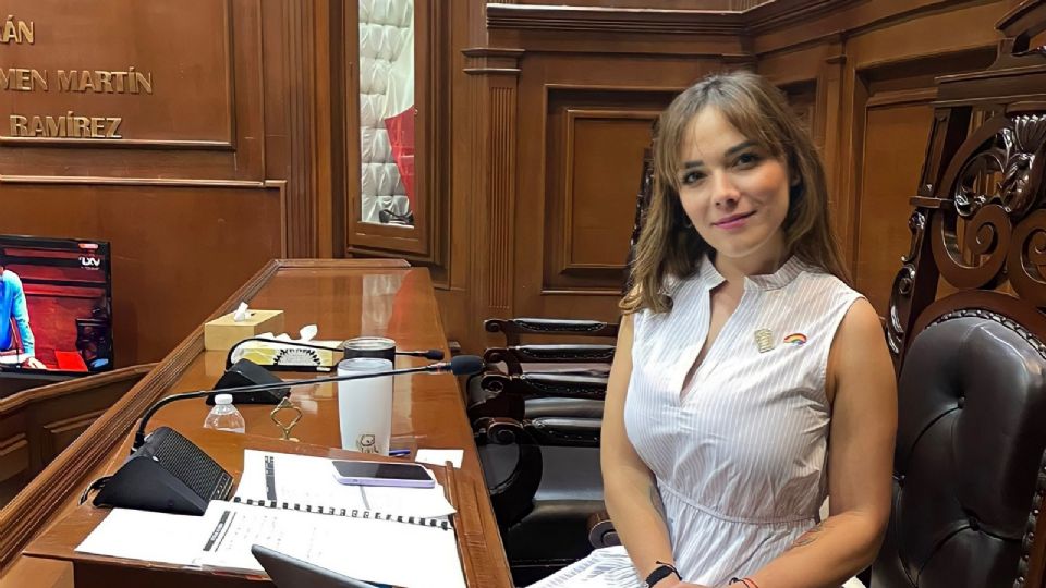 Diputada del Congreso de Aguascalientes