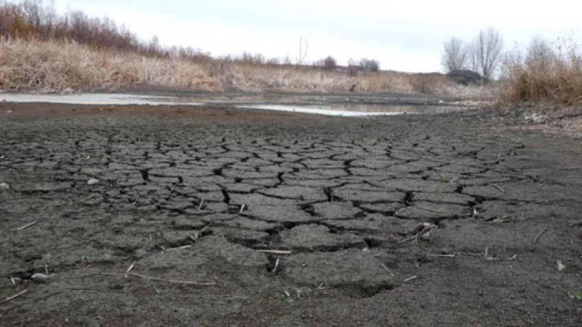 Agua del campo, clave para que evadir la crisis alimentaria