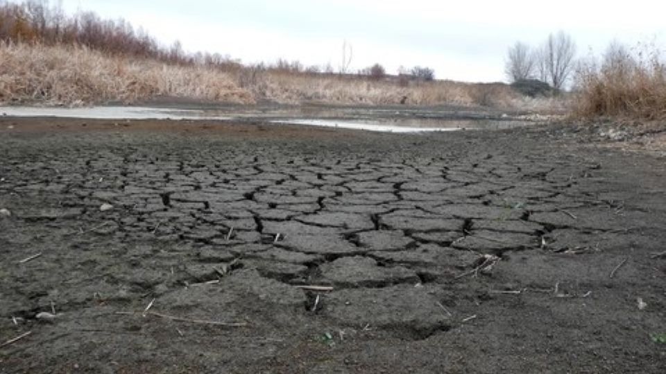 Advierten que se acerca una crisis alimentaria