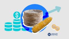 Precio de la Tortilla: Lista de estados donde se vende más cara | MAPA