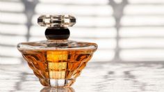 Descubre los 3 perfumes de mujer que enloquecen a cualquier hombre