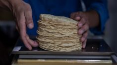 En esta fecha la tortilla va a llegar a costar hasta 45 pesos por kilo