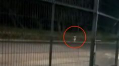 VIDEO: Captan el fantasma de una niña que se le aparece a traileros