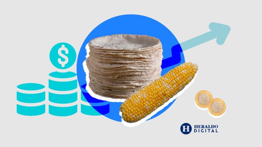 Precio de la Tortilla: Lista de estados donde se vende más cara | MAPA