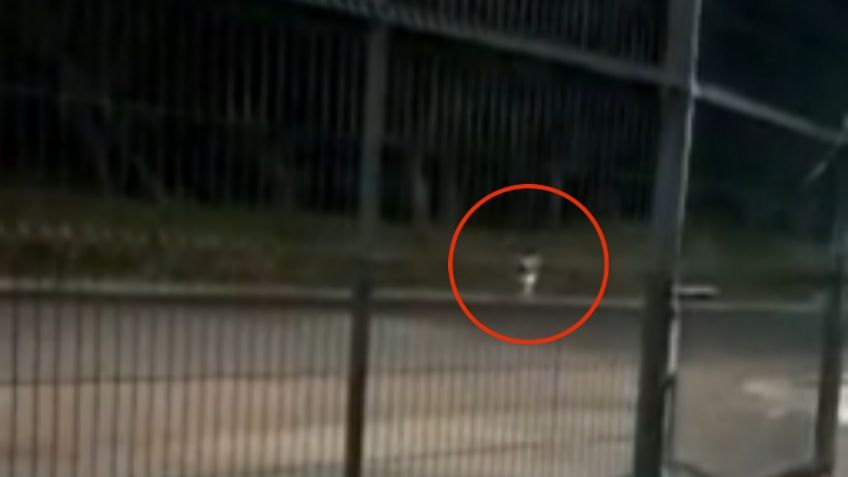 VIDEO: Captan el fantasma de una niña que se le aparece a traileros