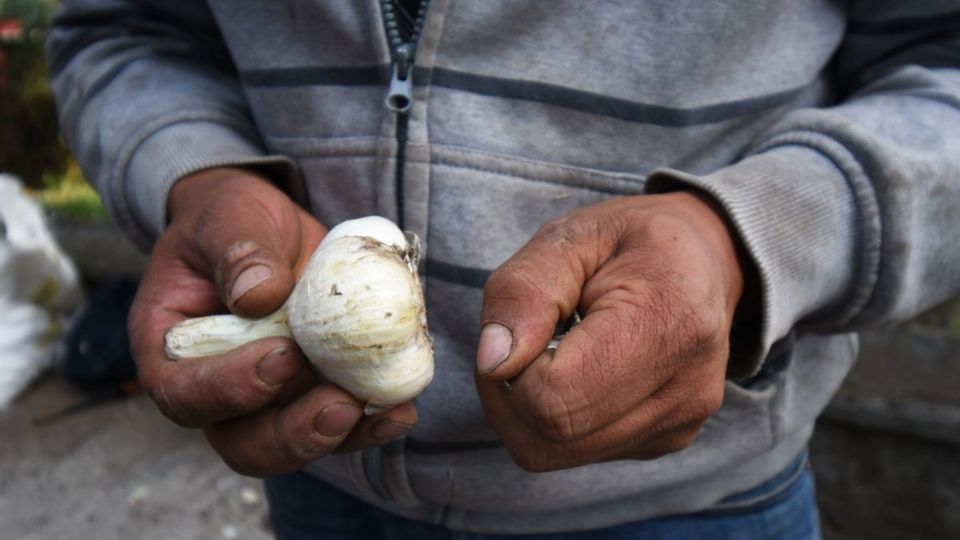 Las asociaciones campesinas pidieron castigo para los responsables del video