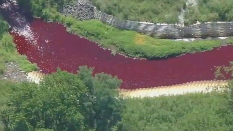 El tinte rojo debería desaparecer dentro de 24 o 48 horas