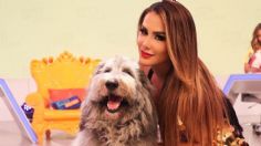 Ninel Conde deja que su lado más sensual emerja con tremendo vestido con aberturas en los costados | VIDEO