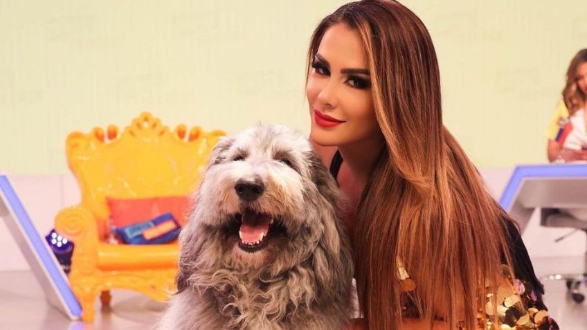 Ninel Conde deja que su lado más sensual emerja con tremendo vestido con aberturas en los costados | VIDEO