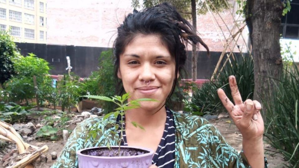 El Plantón 420 es uno de los espacios liberados para fumar marihuana en CDMX FOTO Especial