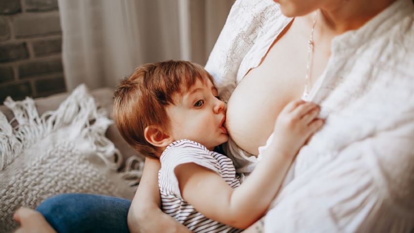 Lactancia materna: La leche es la primera "vacuna" de los bebés para prevenir enfermedades