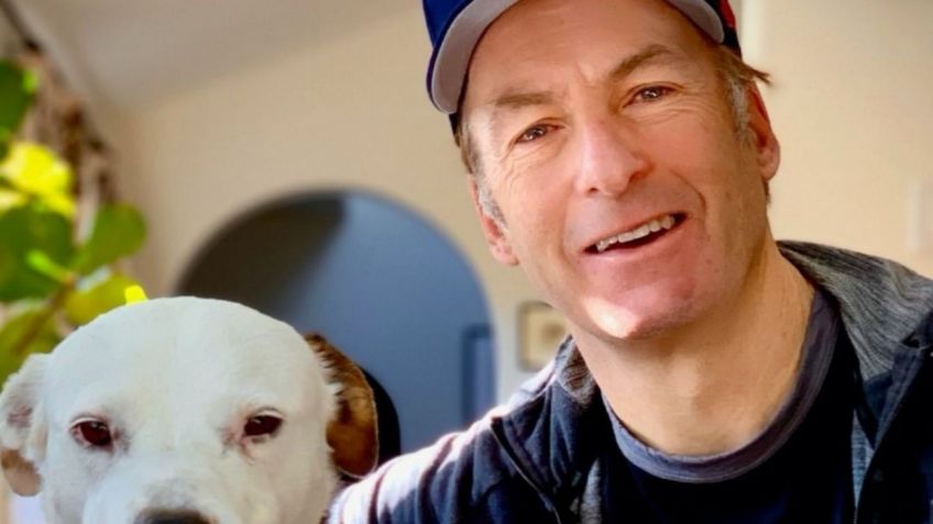 Bob Odenkirk: La vida del ídolo de "Breaking Bad"; de la bancarrota y un infarto a brillar en "Better Call Saul"