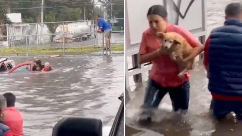 Salvan a abuelitos y su perrito de morir ahogados durante las inundaciones de Guadalajara: VIDEO