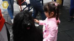 Mujeres e hijos recluidos en Santa Martha participan en taller de animaterapia