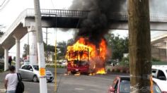 Las impactantes imágenes del cruento enfrentamiento entre criminales y ejército en Guadalajara