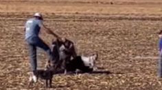 VIDEO | El momento en que un burro mordió ferozmente el brazo de su dueño