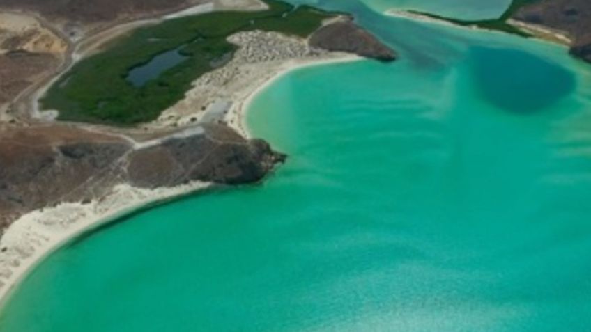 Playa Balandra: Semarnat lanza estrategia de restauración tras daño ambiental