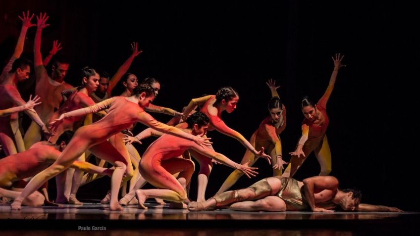 Taller Coreográfico de la UNAM: una historia de medio siglo