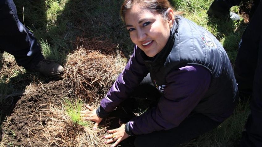 Tlalpan rebasa su propia meta en reforestación; plantan 28 mil árboles