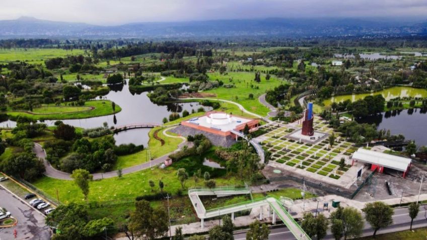 Parque Ecológico Lago de Texcoco: ¿cuándo abre y qué actividades tendrá?