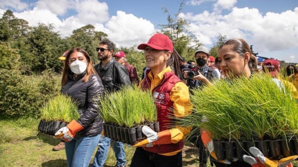 Claudia Sheinbaum durante un evento de reforestación