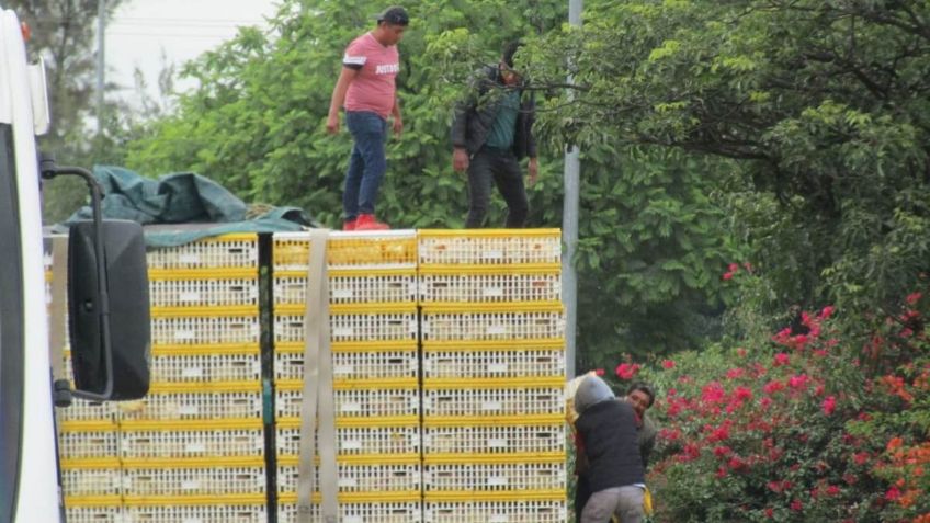 Bloqueo en Oaxaca: Los manifestantes intentaron robar pollos y agraden a transeúntes