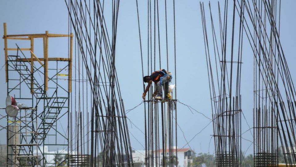 Buscan fomentar el respeto a los árboles y elementos verdes.