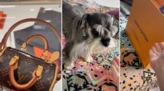 Louis Vuitton vende bolsa para heces de perro en 20 mil y las redes explotan