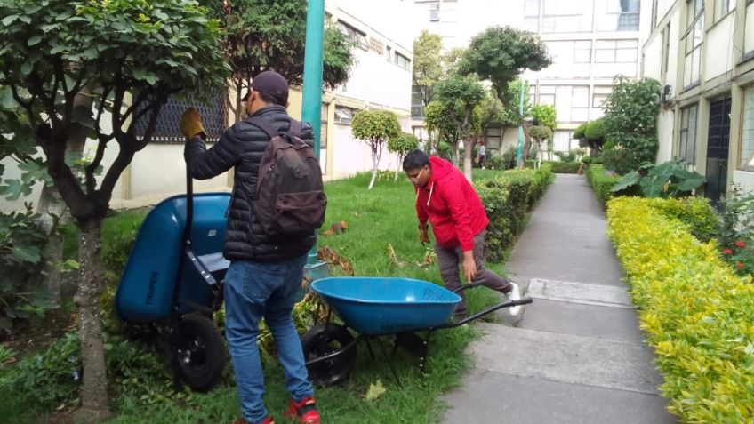 Gana hasta 15 mil pesos en el Concurso de Jardinería Ambiental de la CDMX