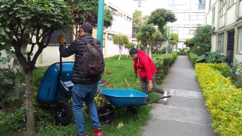 La jardinería ambiental contribuye a mejorar el ambiente urbano