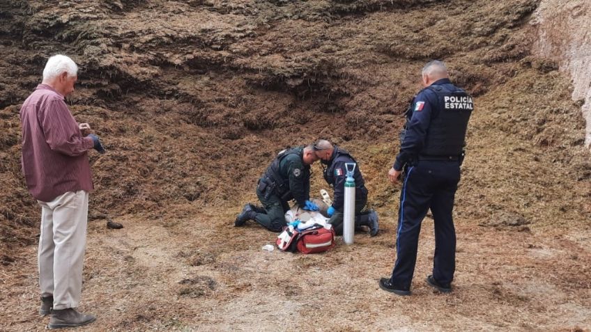 Muere al caerle encima varias toneladas de silo