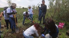 Madres buscadoras: dos activistas fueron asesinadas intentando encontrar a sus hijos