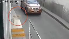 VIDEO | Conductor arrolla a un perrito y se da a la fuga en Tlalnepantla