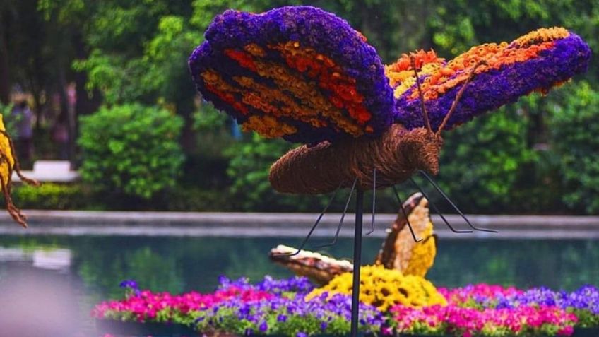 Festival de Flores y Jardines llega a la alcaldía Miguel Hidalgo, conoce cuándo y dónde