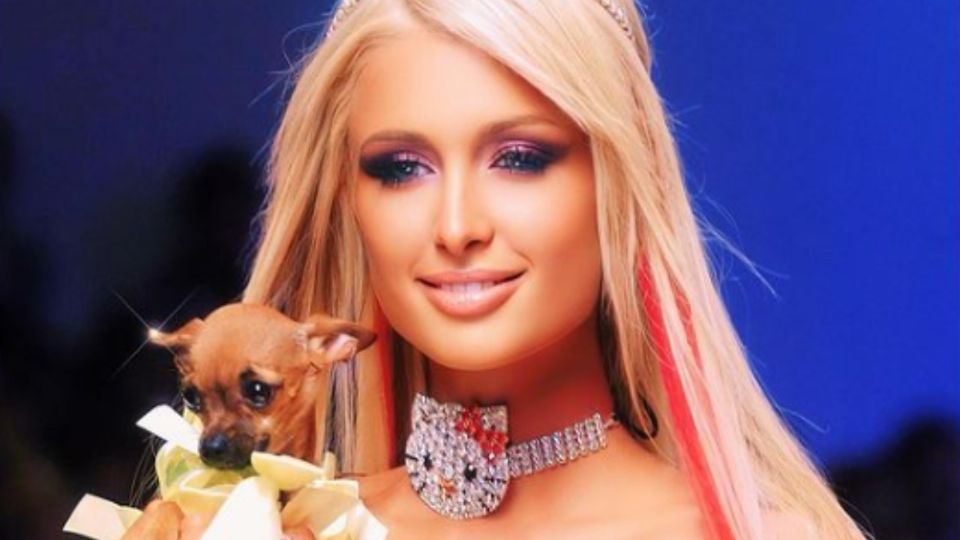 Paris Hilton contrata a un psíquico de perros para encontrar a su mascota