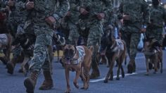 Morena en el Senado frena prórroga de fuerzas armadas en las calles