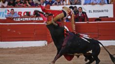 Corridas de Toros en México: PRI presentará el jueves iniciativa para eliminarlas