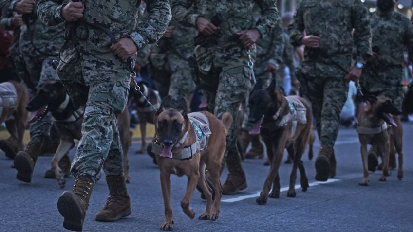 El Senado ratifica a los militares en las calles hasta 2028