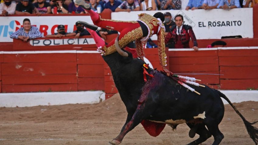 Corridas de Toros en México: PRI presentará el jueves iniciativa para eliminarlas