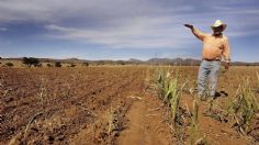 La escasez de agua en México sabotea al sector agropecuario en el norte del país