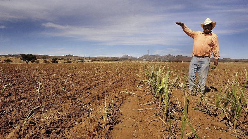 La escasez de agua en México sabotea al sector agropecuario en el norte del país