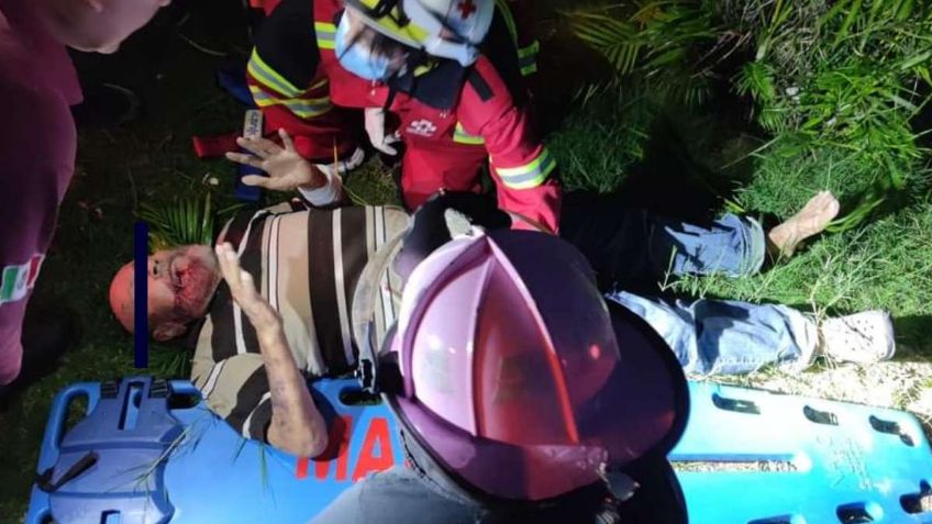 Tamaulipas: Un árbol de 150 años cae sobre dos abuelitos, son llevados a un hospital