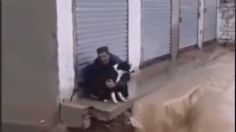 VIDEO | El heroico rescate de un perrito justo antes de ser arrastrado por una fuerte corriente