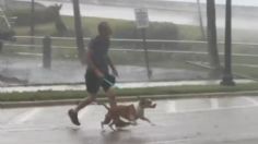 VIDEO | Huracán “Ian”: un joven se arriesgó para rescatar a un perrito de las inundaciones y los fuertes vientos