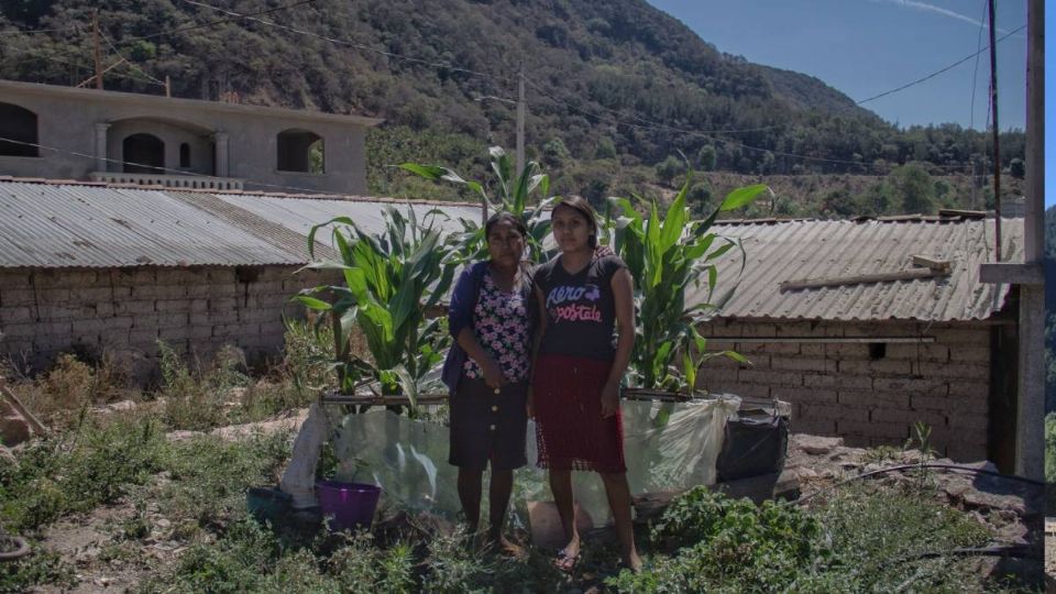 Delincuentes obligaban a los dueños de terrenos a firmar escrituras.