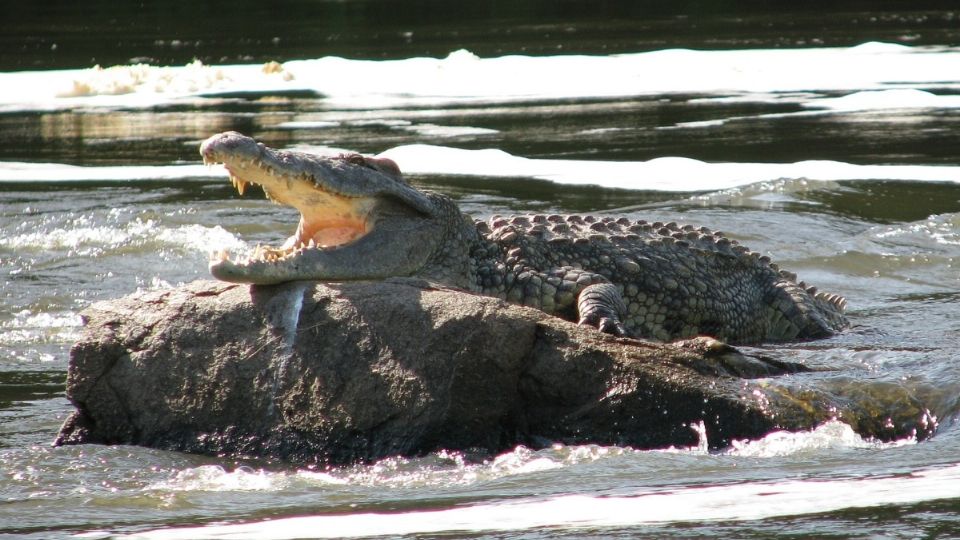 Los hechos ocurrieron cerca de un estanque en una comunidad cerrada del condado Manatee