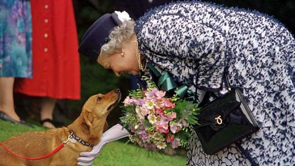 La Reina Isabel II era amante de los perros.